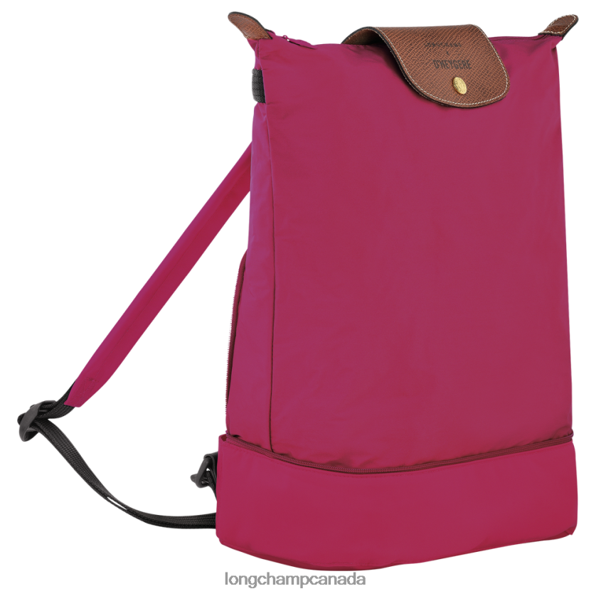 Longchamp X D'heygere Crossbody bag/Backpack Pink Women Bags 2XXDPB325