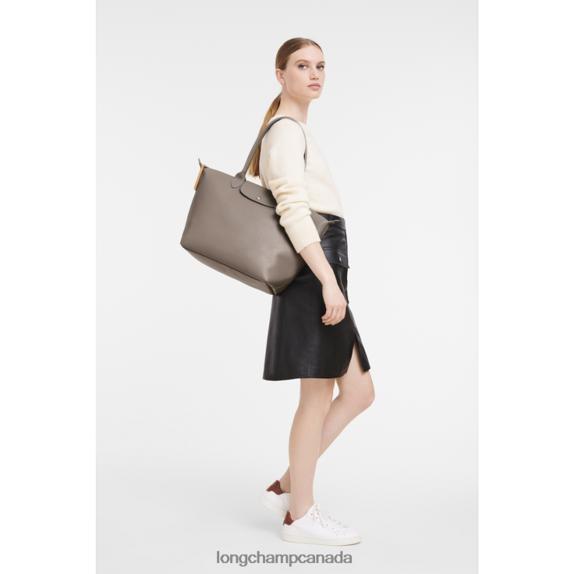 Longchamp Le Pliage City Tote bag Taupe Women Bags 2XXDPB349