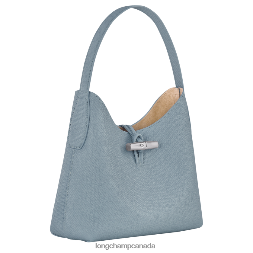 Longchamp Roseau Hobo bag Cloud Blue Women Bags 2XXDPB379