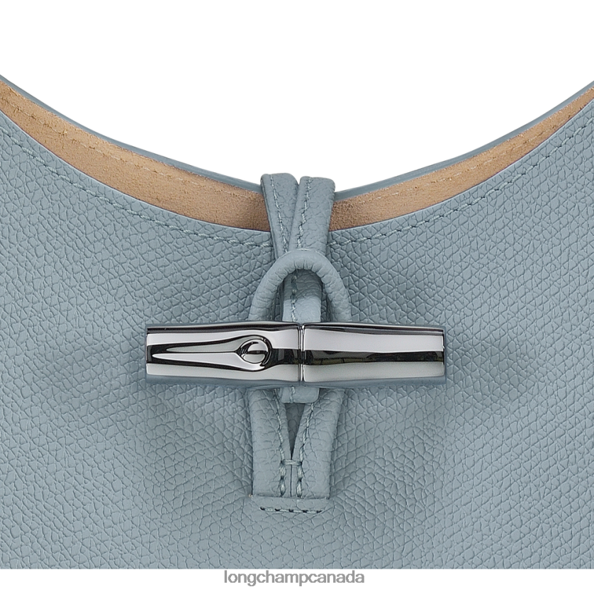 Longchamp Roseau Hobo bag Cloud Blue Women Bags 2XXDPB379