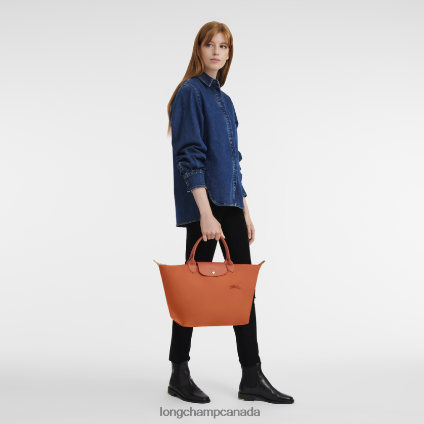 Longchamp Le Pliage Green Handbag Carot Women Bags 2XXDPB196