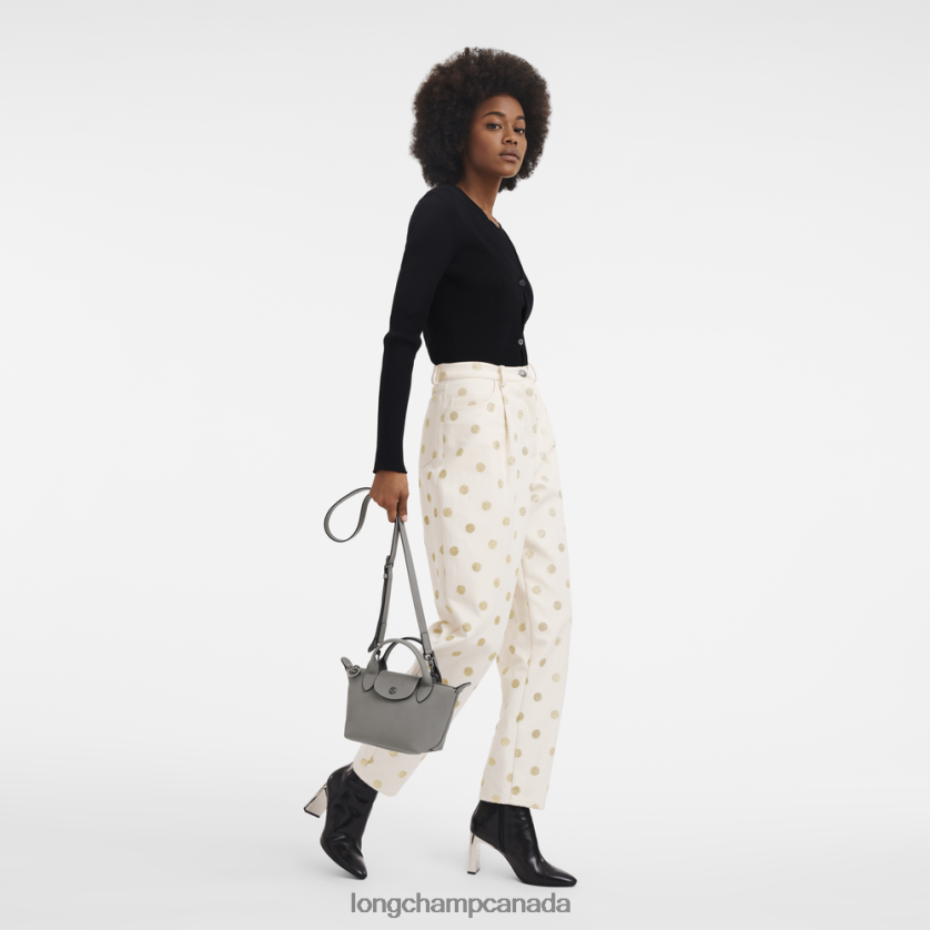 Longchamp Le Pliage Xtra Handbag Turtledove Women Bags 2XXDPB148