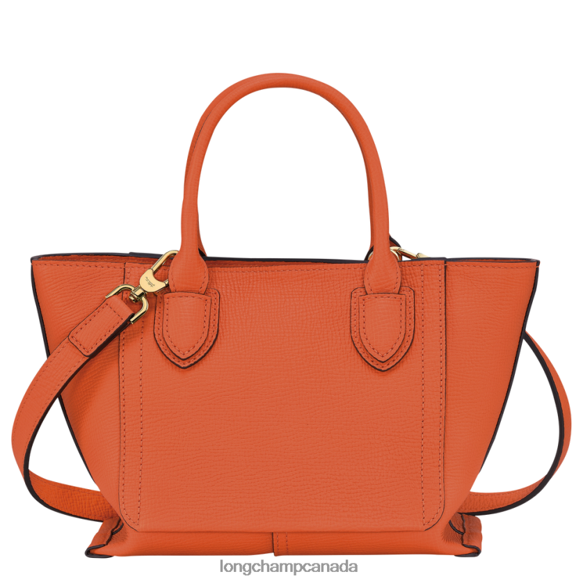 Longchamp Mailbox Handbag Carot Women Bags 2XXDPB166