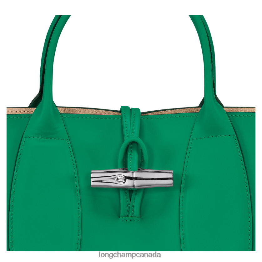 Longchamp Roseau Handbag Grass/Green Light Women Bags 2XXDPB98